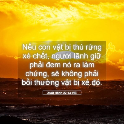 Picture 05 - Xuất Hành 22:13 VIE - Nếu con vật bị thú rừng xé chết, - Bible Verse Picture