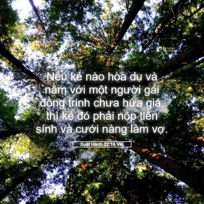 Picture 05 - Xuất Hành 22:16 VIE - Nếu kẻ nào hòa dụ và nằm với một - Bible Verse Picture