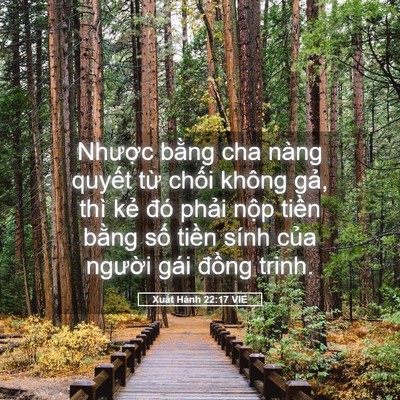 Picture 05 - Xuất Hành 22:17 VIE - Nhược bằng cha nàng quyết từ chối - Bible Verse Picture