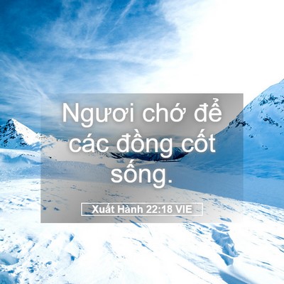 Picture 05 - Xuất Hành 22:18 VIE - Ngươi chớ để các đồng cốt - Bible Verse Picture