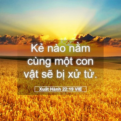Picture 05 - Xuất Hành 22:19 VIE - Kẻ nào nằm cùng một con vật sẽ bị - Bible Verse Picture