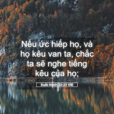 Picture 05 - Xuất Hành 22:23 VIE - Nếu ức hiếp họ, và họ kêu van ta, - Bible Verse Picture
