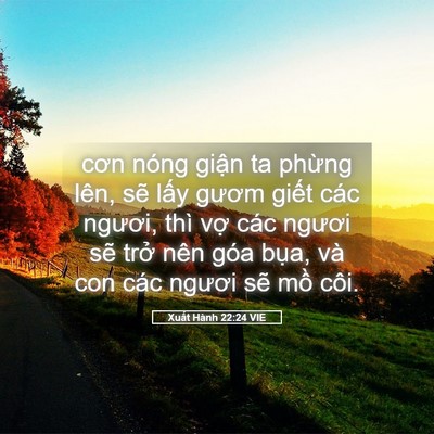Picture 05 - Xuất Hành 22:24 VIE - cơn nóng giận ta phừng lên, sẽ lấy - Bible Verse Picture