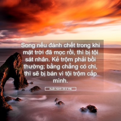 Picture 05 - Xuất Hành 22:3 VIE - Song nếu đánh chết trong khi mặt trời - Bible Verse Picture