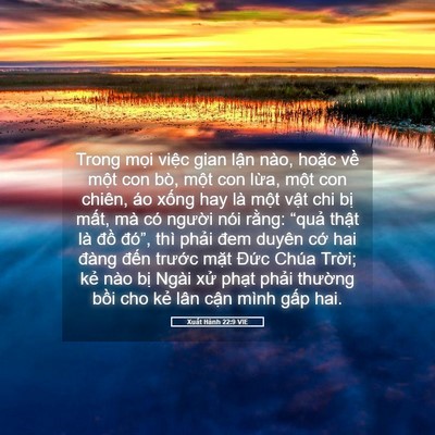 Picture 05 - Xuất Hành 22:9 VIE - Trong mọi việc gian lận nào, hoặc về - Bible Verse Picture