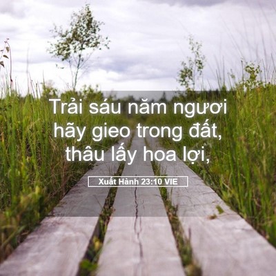 Picture 05 - Xuất Hành 23:10 VIE - Trải sáu năm ngươi hãy gieo trong đất, - Bible Verse Picture