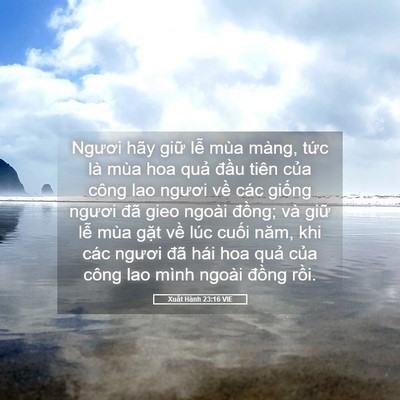 Picture 05 - Xuất Hành 23:16 VIE - Ngươi hãy giữ lễ mùa màng, tức là - Bible Verse Picture