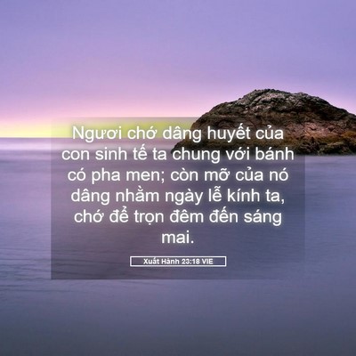 Picture 05 - Xuất Hành 23:18 VIE - Ngươi chớ dâng huyết của con sinh tế - Bible Verse Picture