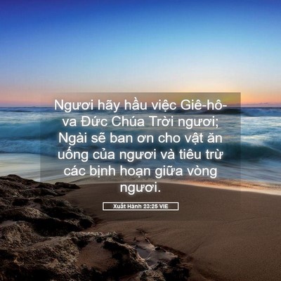Picture 05 - Xuất Hành 23:25 VIE - Ngươi hãy hầu việc Giê-hô-va Đức - Bible Verse Picture