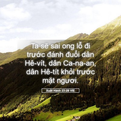 Picture 05 - Xuất Hành 23:28 VIE - Ta sẽ sai ong lỗ đi trước đánh đuổi - Bible Verse Picture