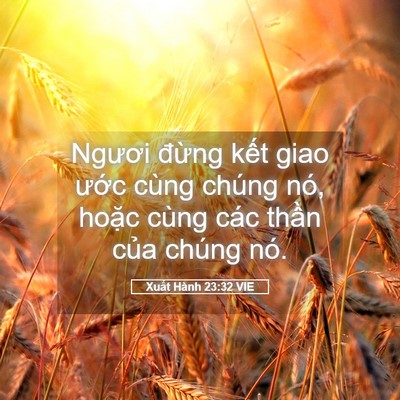 Picture 05 - Xuất Hành 23:32 VIE - Ngươi đừng kết giao ước cùng chúng - Bible Verse Picture