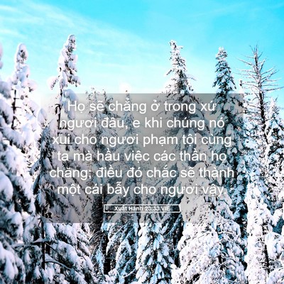 Picture 05 - Xuất Hành 23:33 VIE - Họ sẽ chẳng ở trong xứ ngươi đâu, e - Bible Verse Picture