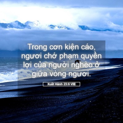 Picture 05 - Xuất Hành 23:6 VIE - Trong cơn kiện cáo, ngươi chớ phạm - Bible Verse Picture