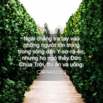 Picture 05 - Xuất Hành 24:11 VIE - Ngài chẳng tra tay vào những người tôn - Bible Verse Picture