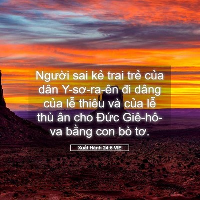 Picture 05 - Xuất Hành 24:5 VIE - Người sai kẻ trai trẻ của dân - Bible Verse Picture
