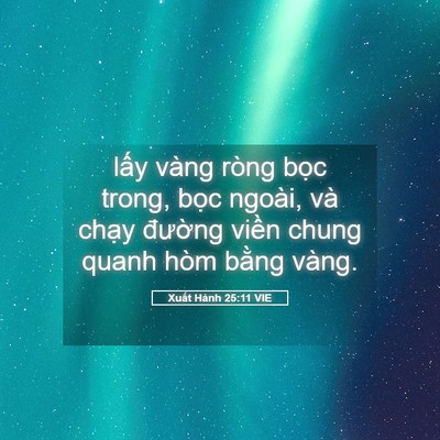 Picture 05 - Xuất Hành 25:11 VIE - lấy vàng ròng bọc trong, bọc ngoài, và - Bible Verse Picture