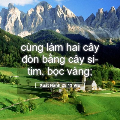 Picture 05 - Xuất Hành 25:13 VIE - cùng làm hai cây đòn bằng cây si-tim, - Bible Verse Picture