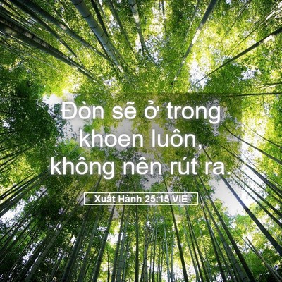 Picture 05 - Xuất Hành 25:15 VIE - Đòn sẽ ở trong khoen luôn, không nên - Bible Verse Picture
