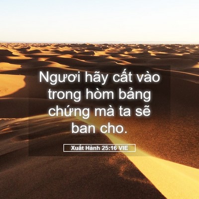 Picture 05 - Xuất Hành 25:16 VIE - Ngươi hãy cất vào trong hòm bảng chứng - Bible Verse Picture