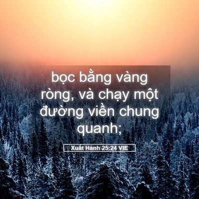 Picture 05 - Xuất Hành 25:24 VIE - bọc bằng vàng ròng, và chạy một - Bible Verse Picture