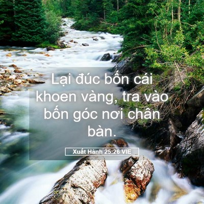 Picture 05 - Xuất Hành 25:26 VIE - Lại đúc bốn cái khoen vàng, tra vào - Bible Verse Picture