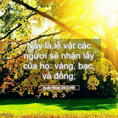 Picture 05 - Xuất Hành 25:3 VIE - Nầy là lễ vật các ngươi sẽ nhận - Bible Verse Picture