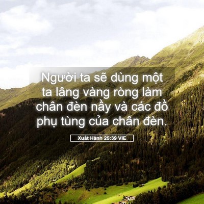 Picture 05 - Xuất Hành 25:39 VIE - Người ta sẽ dùng một ta lâng vàng ròng - Bible Verse Picture