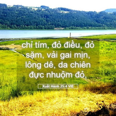 Picture 05 - Xuất Hành 25:4 VIE - chỉ tím, đỏ điều, đỏ sặm, vải gai - Bible Verse Picture