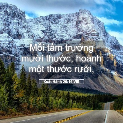 Picture 05 - Xuất Hành 26:16 VIE - Mỗi tấm trướng mười thước, hoành - Bible Verse Picture