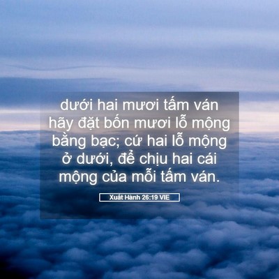 Picture 05 - Xuất Hành 26:19 VIE - dưới hai mươi tấm ván hãy đặt bốn - Bible Verse Picture