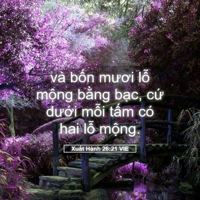 Picture 05 - Xuất Hành 26:21 VIE - và bốn mươi lỗ mộng bằng bạc, cứ - Bible Verse Picture