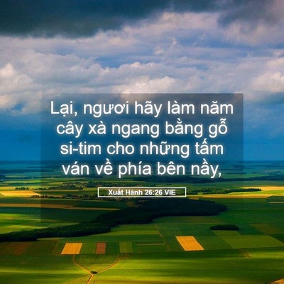 Picture 05 - Xuất Hành 26:26 VIE - Lại, ngươi hãy làm năm cây xà ngang - Bible Verse Picture