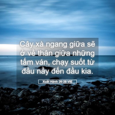 Picture 05 - Xuất Hành 26:28 VIE - Cây xà ngang giữa sẽ ở về thân giữa - Bible Verse Picture