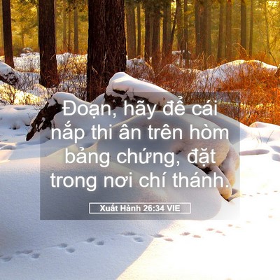 Picture 05 - Xuất Hành 26:34 VIE - Đoạn, hãy để cái nắp thi ân trên hòm - Bible Verse Picture