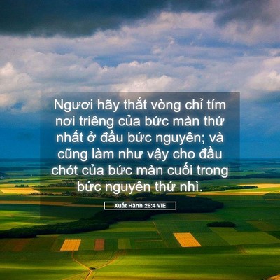 Picture 05 - Xuất Hành 26:4 VIE - Ngươi hãy thắt vòng chỉ tím nơi triêng - Bible Verse Picture