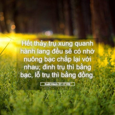 Picture 05 - Xuất Hành 27:17 VIE - Hết thảy trụ xung quanh hành lang đều - Bible Verse Picture