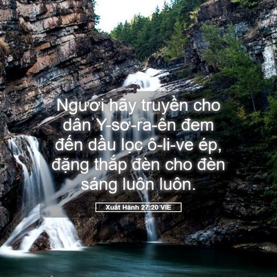 Picture 05 - Xuất Hành 27:20 VIE - Ngươi hãy truyền cho dân Y-sơ-ra-ên đem - Bible Verse Picture
