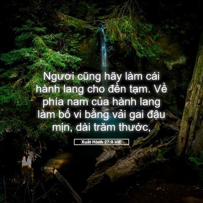 Picture 05 - Xuất Hành 27:9 VIE - Ngươi cũng hãy làm cái hành lang cho - Bible Verse Picture
