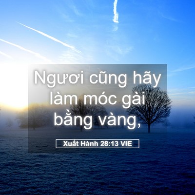 Picture 05 - Xuất Hành 28:13 VIE - Ngươi cũng hãy làm móc gài bằng - Bible Verse Picture
