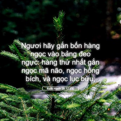 Picture 05 - Xuất Hành 28:17 VIE - Ngươi hãy gắn bốn hàng ngọc vào bảng - Bible Verse Picture