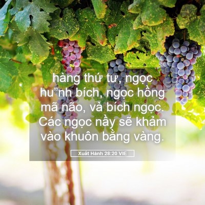 Picture 05 - Xuất Hành 28:20 VIE - hàng thứ tư, ngọc hu”nh bích, ngọc - Bible Verse Picture