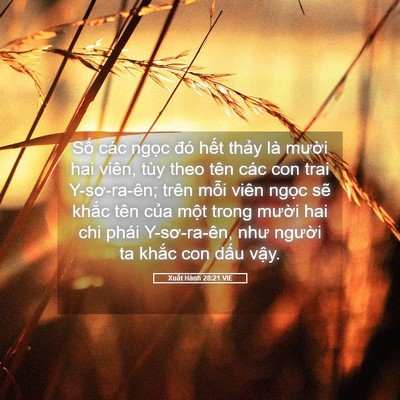 Picture 05 - Xuất Hành 28:21 VIE - Số các ngọc đó hết thảy là mười - Bible Verse Picture