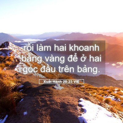Picture 05 - Xuất Hành 28:23 VIE - rồi làm hai khoanh bằng vàng để ở hai - Bible Verse Picture