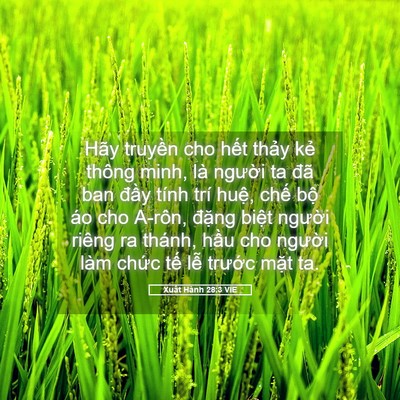 Picture 05 - Xuất Hành 28:3 VIE - Hãy truyền cho hết thảy kẻ thông minh, - Bible Verse Picture