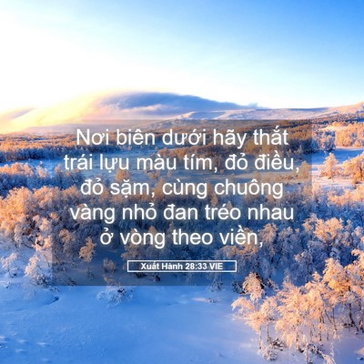 Picture 05 - Xuất Hành 28:33 VIE - Nơi biên dưới hãy thắt trái lựu màu - Bible Verse Picture