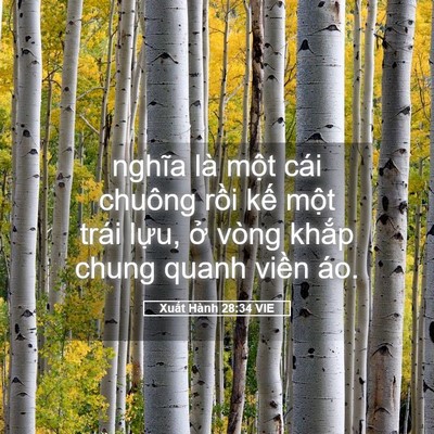 Picture 05 - Xuất Hành 28:34 VIE - nghĩa là một cái chuông rồi kế một - Bible Verse Picture