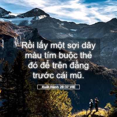 Picture 05 - Xuất Hành 28:37 VIE - Rồi lấy một sợi dây màu tím buộc - Bible Verse Picture