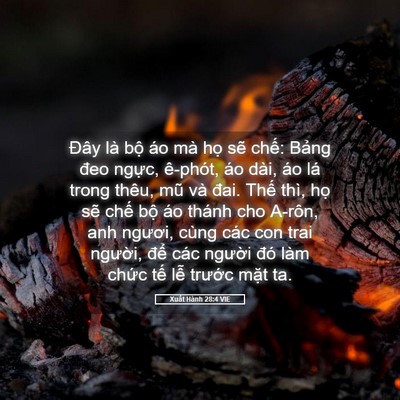 Picture 05 - Xuất Hành 28:4 VIE - Đây là bộ áo mà họ sẽ chế: Bảng - Bible Verse Picture