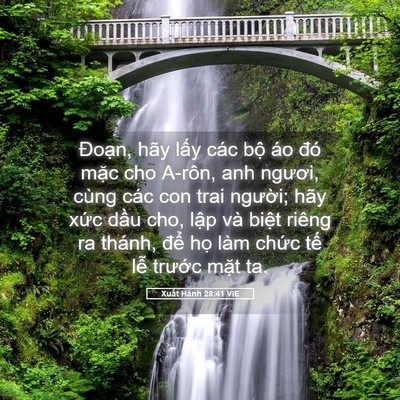 Picture 05 - Xuất Hành 28:41 VIE - Đoạn, hãy lấy các bộ áo đó mặc cho - Bible Verse Picture