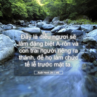 Picture 05 - Xuất Hành 29:1 VIE - Đây là điều ngươi sẽ làm đặng - Bible Verse Picture